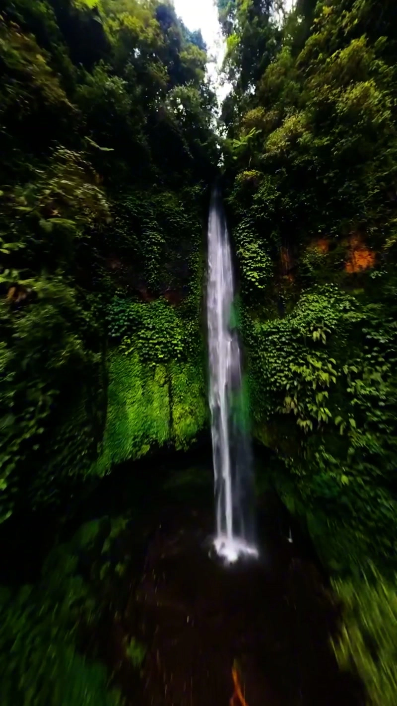 飞越神秘原始雨林